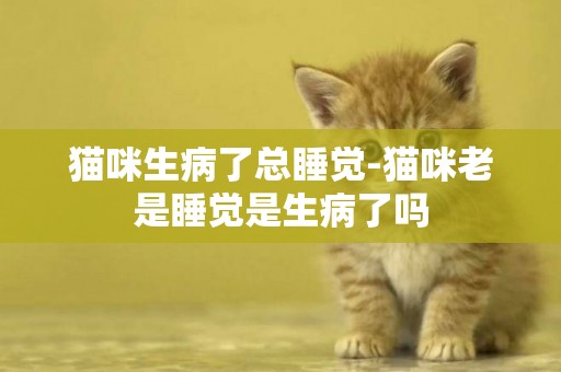貓咪生病了總睡覺-貓咪老是睡覺是生病了嗎