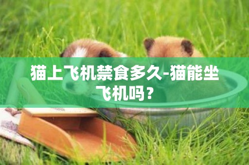 貓上飛機禁食多久-貓能坐飛機嗎？