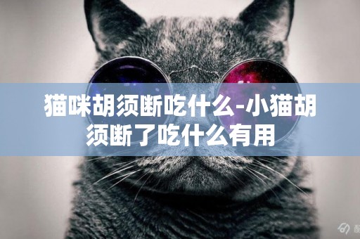 貓咪胡須斷吃什么-小貓胡須斷了吃什么有用