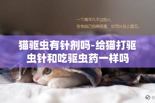 貓驅蟲有針劑嗎-給貓打驅蟲針和吃驅蟲藥一樣嗎