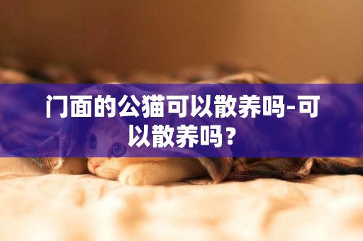 門面的公貓可以散養嗎-可以散養嗎？
