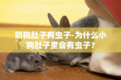奶狗肚子有蟲子-為什么小狗肚子里會有蟲子？