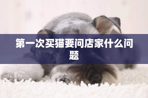 第一次買貓要問店家什么問題