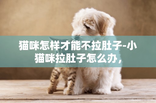 貓咪怎樣才能不拉肚子-小貓咪拉肚子怎么辦，