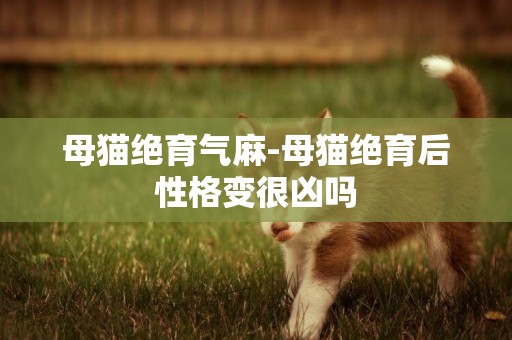 母貓絕育氣麻-母貓絕育后性格變很兇嗎