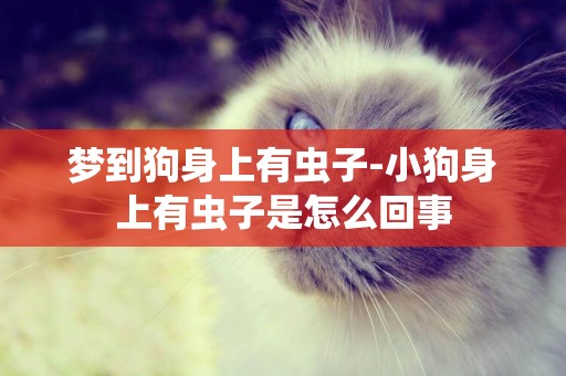 夢到狗身上有蟲子-小狗身上有蟲子是怎么回事