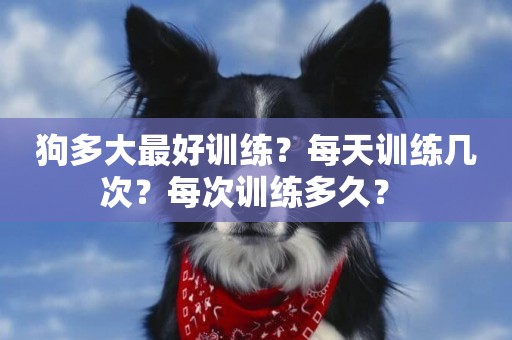 狗多大最好訓練？每天訓練幾次？每次訓練多久？ 