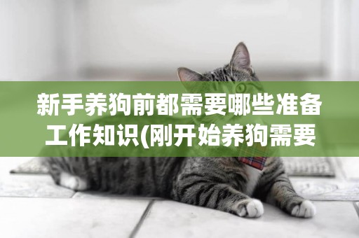 新手養狗前都需要哪些準備工作知識(剛開始養狗需要注意什么) 