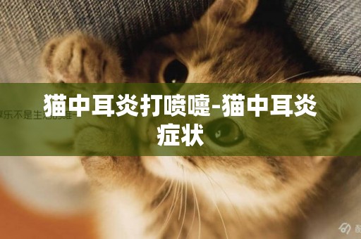 貓中耳炎打噴嚏-貓中耳炎癥狀