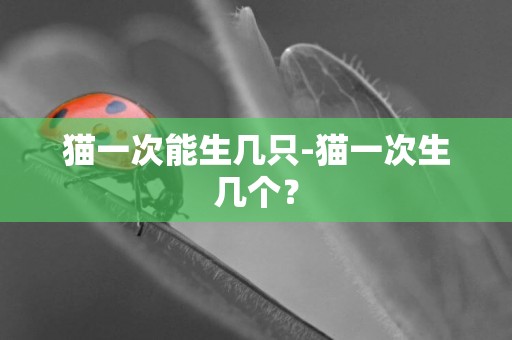 貓一次能生幾只-貓一次生幾個？