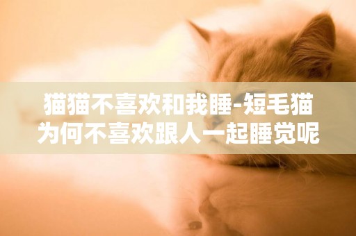 貓貓不喜歡和我睡-短毛貓為何不喜歡跟人一起睡覺呢？