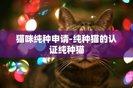 貓咪純種申請-純種貓的認證純種貓