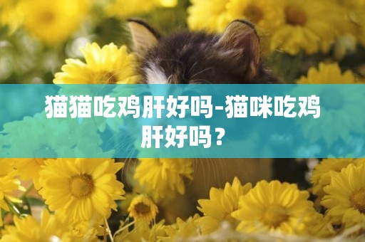 貓貓吃雞肝好嗎-貓咪吃雞肝好嗎？