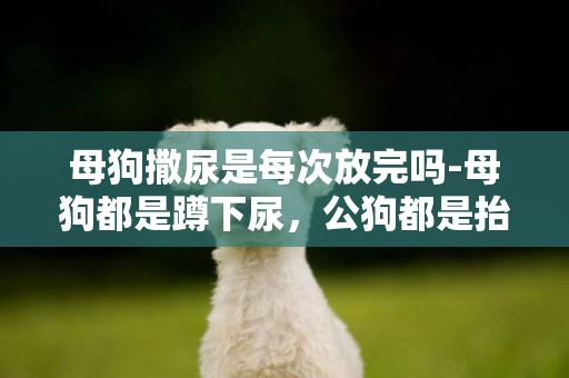 母狗撒尿是每次放完嗎-母狗都是蹲下尿，公狗都是抬腿尿嗎？