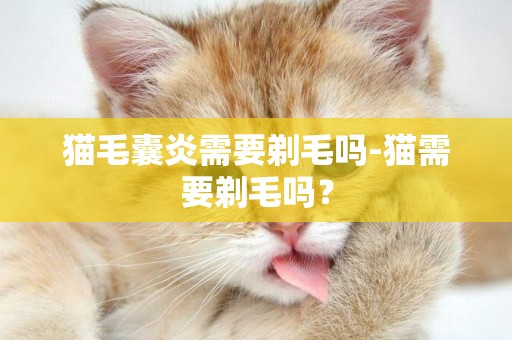 貓毛囊炎需要剃毛嗎-貓需要剃毛嗎？