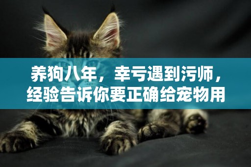 養狗八年，幸虧遇到污師，經驗告訴你要正確給寵物用具消毒 