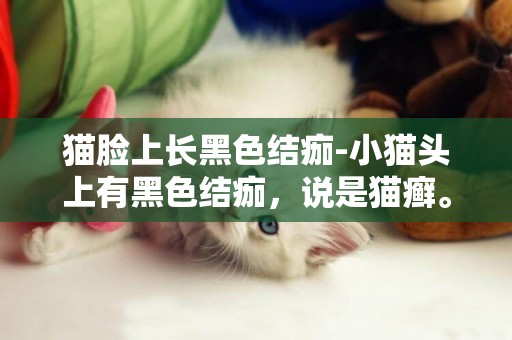 貓臉上長黑色結痂-小貓頭上有黑色結痂，說是貓癬。結痂上還有細小的絨毛，是快要好了嗎？結痂可以摳掉嗎？