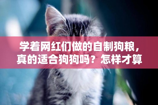 學著網紅們做的自制狗糧，真的適合狗狗嗎？怎樣才算好的自制狗糧 