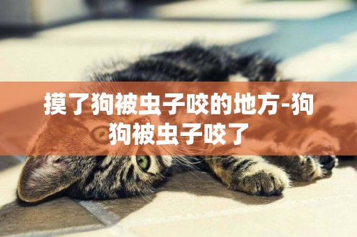 摸了狗被蟲子咬的地方-狗狗被蟲子咬了