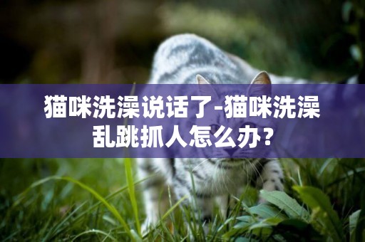 貓咪洗澡說話了-貓咪洗澡亂跳抓人怎么辦？