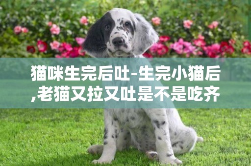 貓咪生完后吐-生完小貓后,老貓又拉又吐是不是吃齊帶的原因？