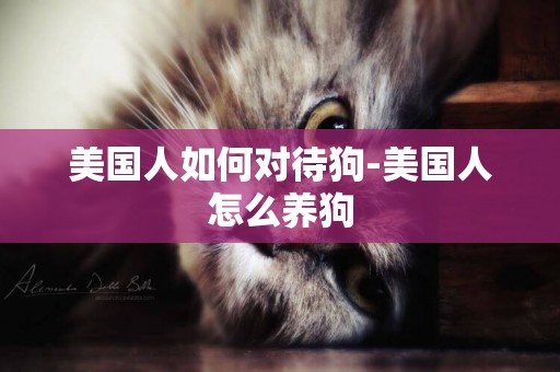 美國人如何對待狗-美國人怎么養狗
