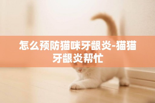 怎么預防貓咪牙齦炎-貓貓牙齦炎幫忙