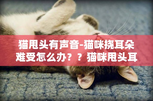 貓甩頭有聲音-貓咪撓耳朵難受怎么辦？？貓咪甩頭耳朵有聲音，貓咪甩頭抓耳朵，耳朵好像有點不干凈怎么辦？
