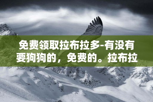 免費領取拉布拉多-有沒有要狗狗的，免費的。拉布拉多？