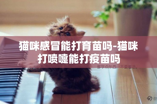 貓咪感冒能打育苗嗎-貓咪打噴嚏能打疫苗嗎