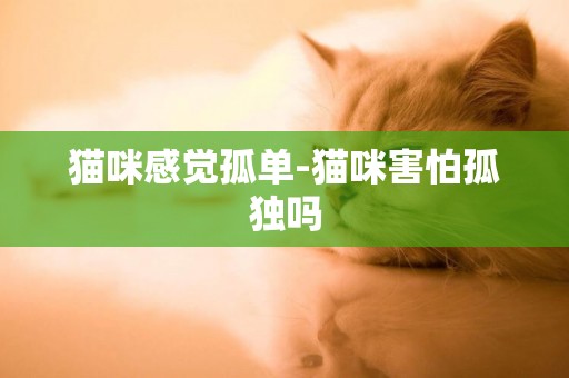 貓咪感覺孤單-貓咪害怕孤獨嗎