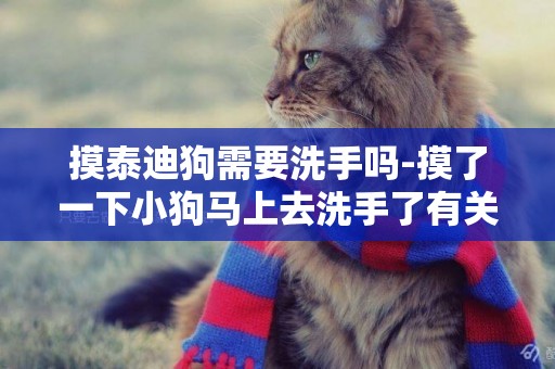 摸泰迪狗需要洗手嗎-摸了一下小狗馬上去洗手了有關系嗎
