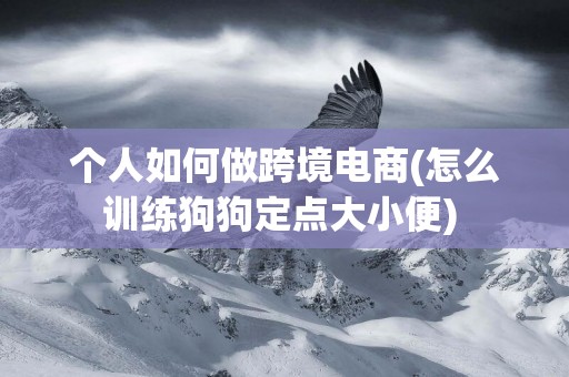 個人如何做跨境電商(怎么訓練狗狗定點大小便) 