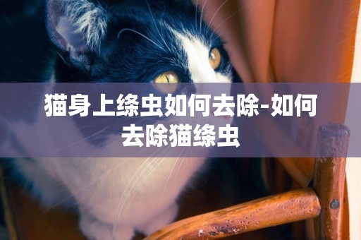 貓身上絳蟲如何去除-如何去除貓絳蟲