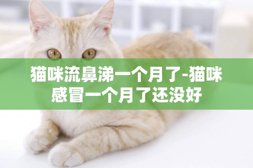 貓咪流鼻涕一個月了-貓咪感冒一個月了還沒好