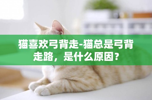 貓喜歡弓背走-貓總是弓背走路，是什么原因？