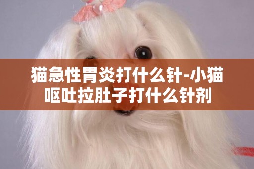 貓急性胃炎打什么針-小貓嘔吐拉肚子打什么針劑
