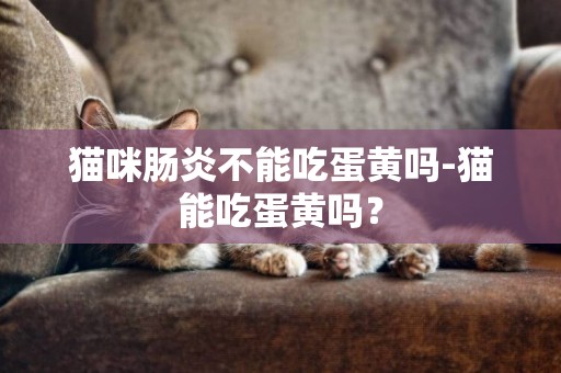 貓咪腸炎不能吃蛋黃嗎-貓能吃蛋黃嗎？