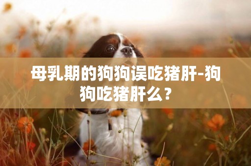 母乳期的狗狗誤吃豬肝-狗狗吃豬肝么？