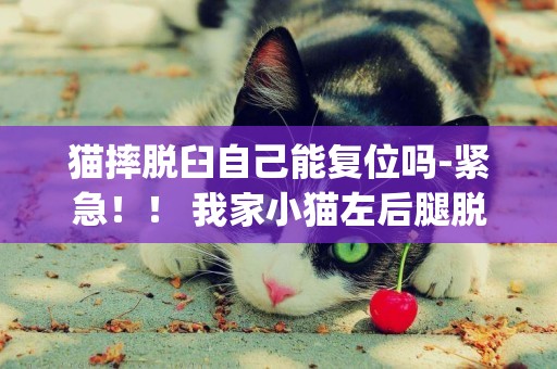 貓摔脫臼自己能復位嗎-緊急！！ 我家小貓左后腿脫臼自己會好嗎（我在南昌)