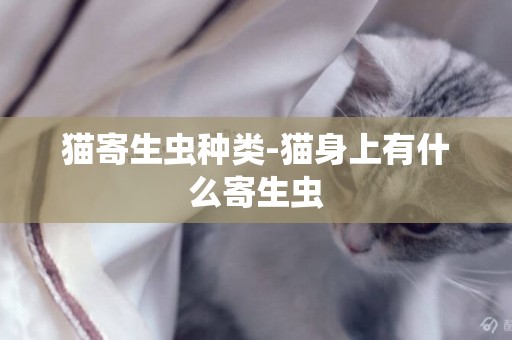 貓寄生蟲種類-貓身上有什么寄生蟲