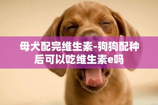 母犬配完維生素-狗狗配種后可以吃維生素e嗎
