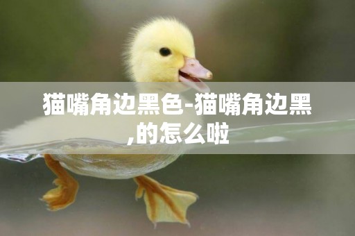 貓嘴角邊黑色-貓嘴角邊黑,的怎么啦