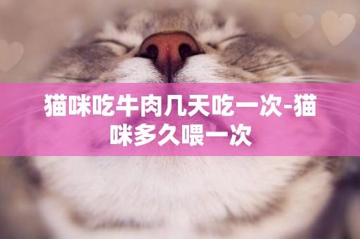 貓咪吃牛肉幾天吃一次-貓咪多久喂一次