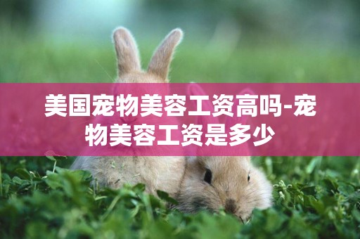 美國寵物美容工資高嗎-寵物美容工資是多少