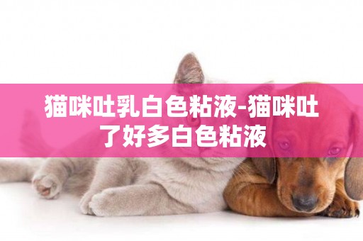 貓咪吐乳白色粘液-貓咪吐了好多白色粘液