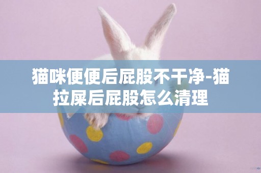 貓咪便便后屁股不干凈-貓拉屎后屁股怎么清理