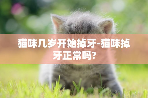 貓咪幾歲開始掉牙-貓咪掉牙正常嗎?
