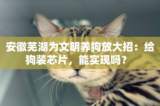 安徽蕪湖為文明養狗放大招：給狗裝芯片，能實現嗎？ 