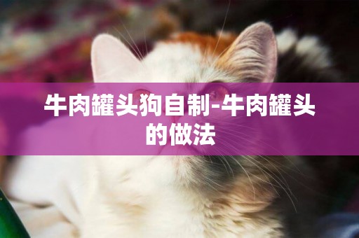 牛肉罐頭狗自制-牛肉罐頭的做法